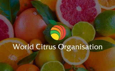 Fruit Today : “La WCO será una organización transparente”