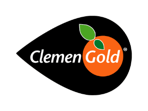 ClemenGold (South Africa)