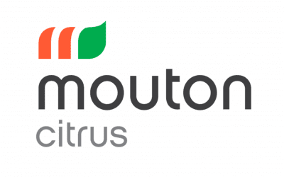 Mouton Citrus (South Africa)